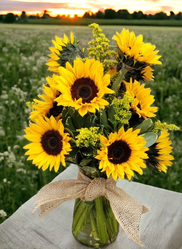 Sunflower Fields